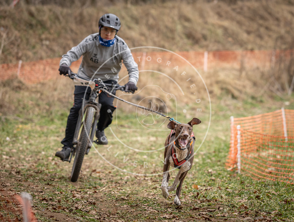 Pfotenfotografie_DV3A6900 | Hundefotografie, Tierfotograf, Pfotenfotografie, Fotoshooting Hund, Hunde Portrait, Hundesport, Hundeportraits, Heideshooting, Hunde, Sportfotograf, Hundefotograf, Turnierhundsport, THS,  - Realisiert mit Pictrs.com