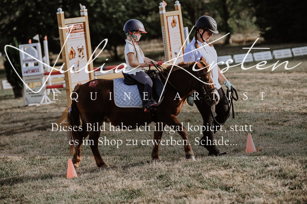 DSC_0134 | Pferde- und Turnierfotografie in Westsachsen. Pferdeportraits, Auftragszeichnungen und intuitive Kunst.