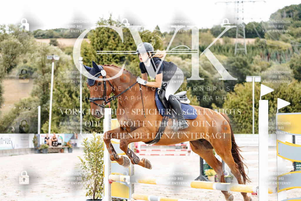 CK908353 | Turnierfotografie Pferdefotografie Trier Rheinland-Pfalz Pferdesport Reitsport Tierfotografie Sportfotografie Pferdevideo Pferdevideografie Equestrianvideography equestrianphotography  - Realisiert mit Pictrs.com