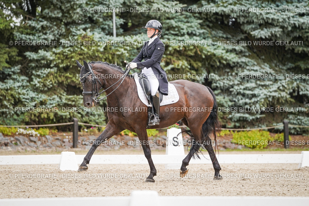 DSC07015 | Pferdegrafie