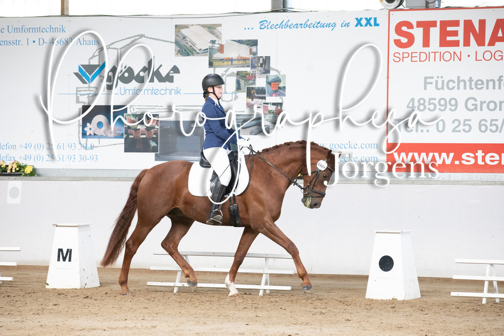 IMG_6018 | photographesa-joergens - Realisiert mit Pictrs.com