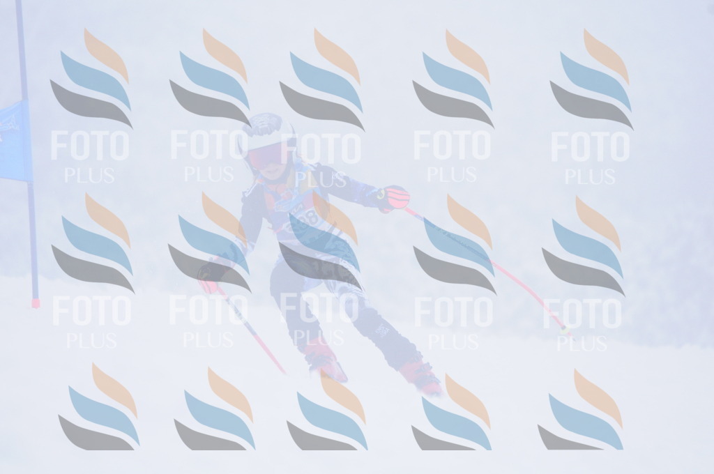 C2494 | holidayphoto