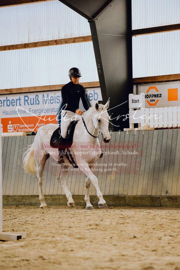 DSC_6966 | Pferde- und Turnierfotografie in Westsachsen. Pferdeportraits, Auftragszeichnungen und intuitive Kunst.