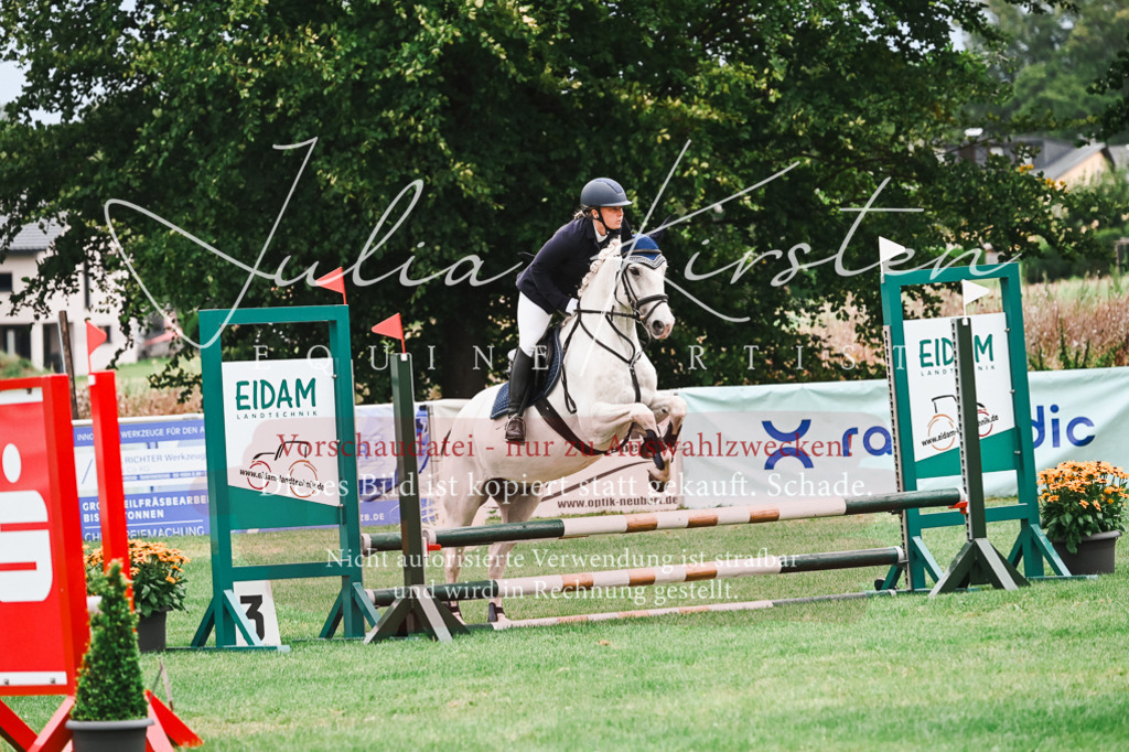 DSC_5942 | Pferde- und Turnierfotografie in Westsachsen. Pferdeportraits, Auftragszeichnungen und intuitive Kunst.
