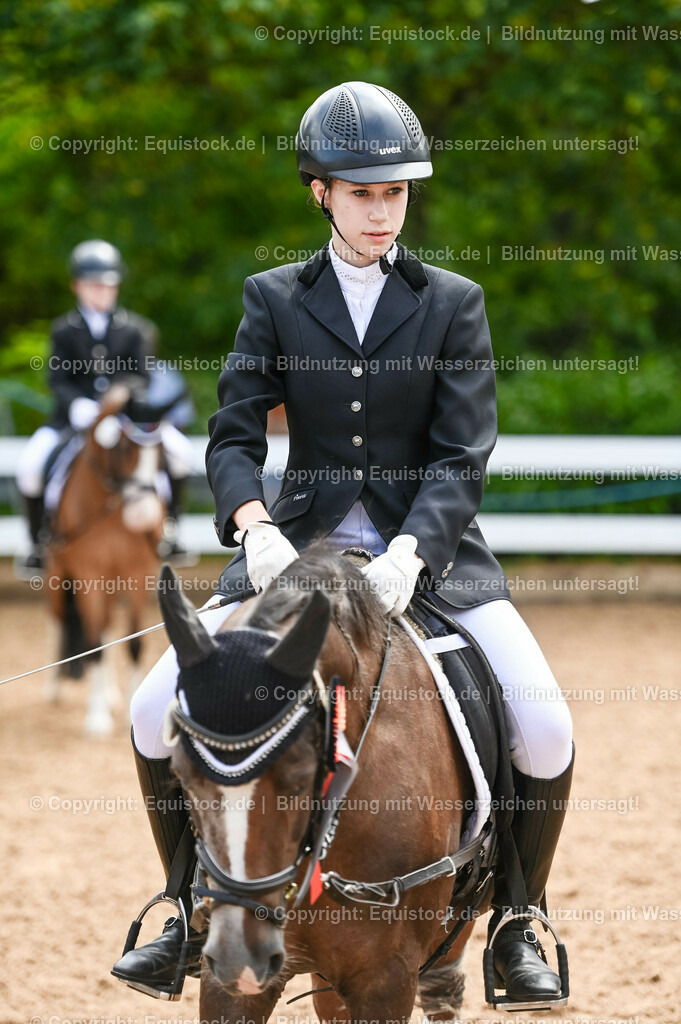 20230716_10-2_Reiter-WB Schritt - Trab - Galopp_0206 | equistock