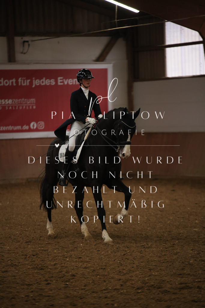 IMGT5996 | pl-fotografie