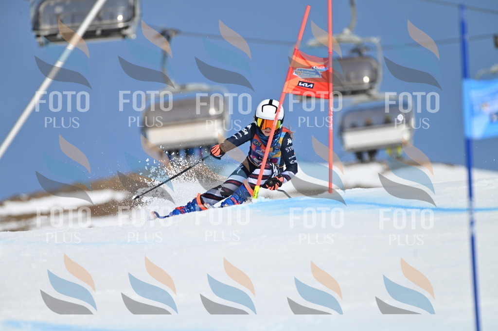 BGV_9323 | holidayphoto