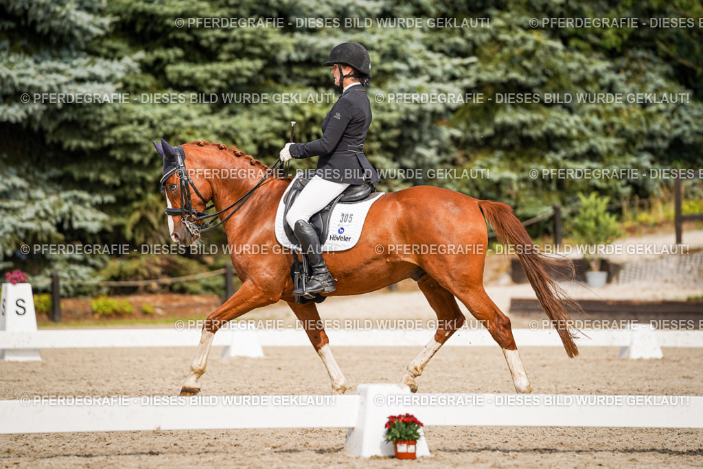 DSC06435 | Pferdegrafie