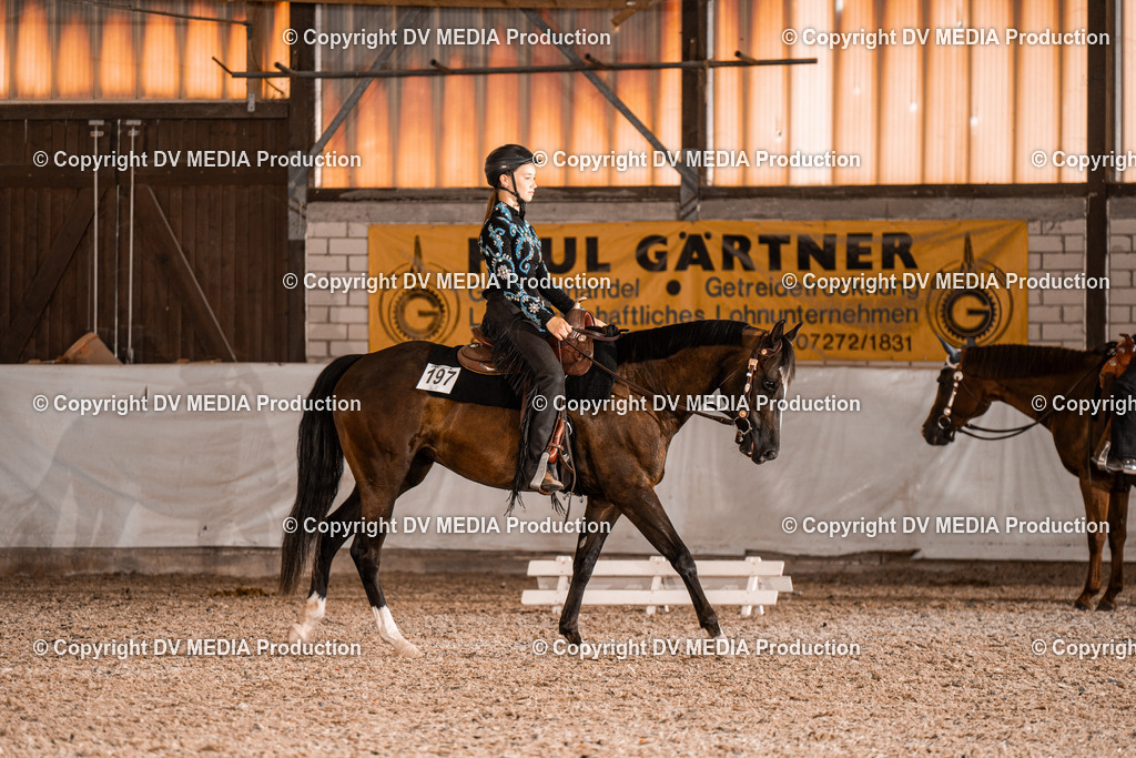 ZH200383 | dv-media-shop - Realisiert mit Pictrs.com