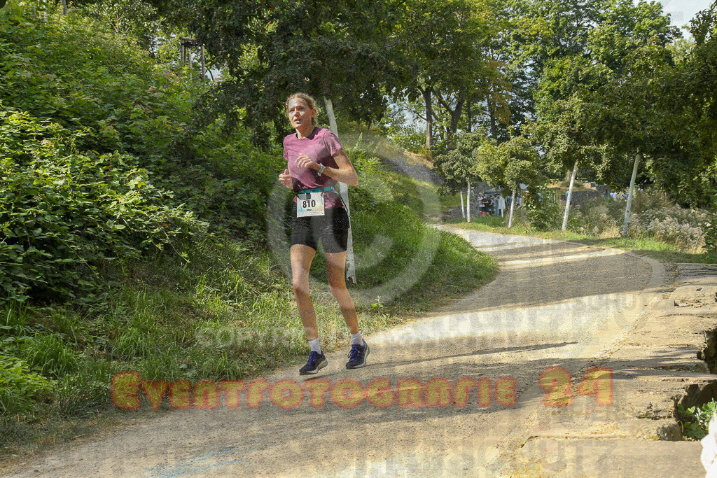250824_1506_EX1_8494 | Sportfotografie im Rhein-Sieg Kreis, Köln, Bonn, NRW, Rheinland Pfalz, Hessen, etc. Unser Tätigkeitsfeld umfasst den Laufsport vom Volkslauf über den Marathon, Duathlon, Triathon bis zum Ultralauf wie Kölnpfad Ultra oder Schindertrail.