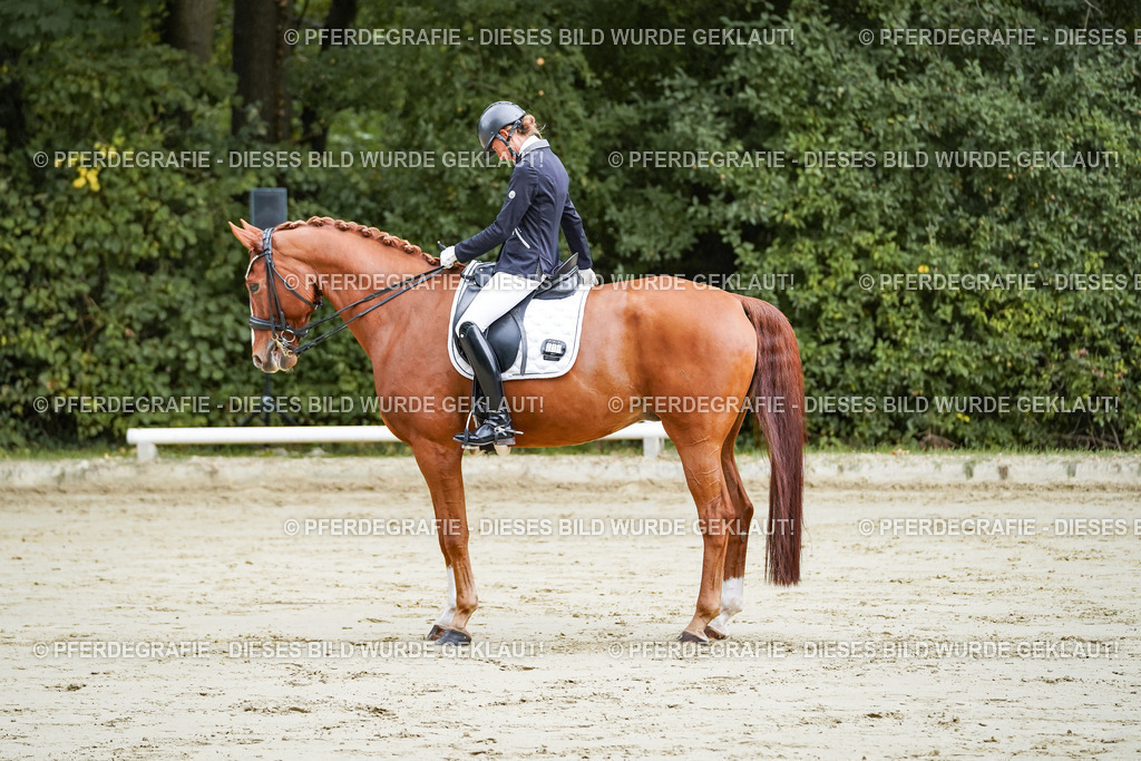 DSC08034 | Pferdegrafie