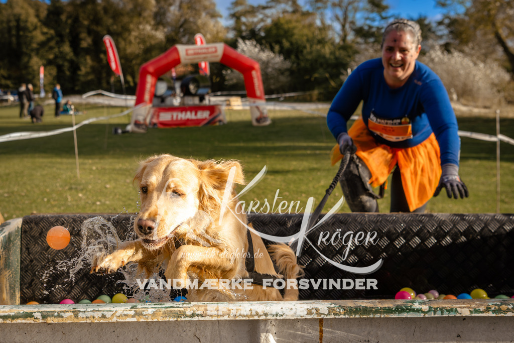 1556_ZZ97500 | kk-dogfotos