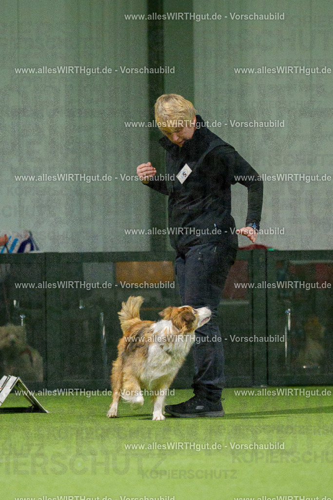 7R504359 | Professionelle Tierfotografie in Mönchengladbach von Daniel Wirth (allesWIRTHgut). Liebevolle & natürliche Bilder von Hunden & Katzen für unvergessliche Erinnerungen.