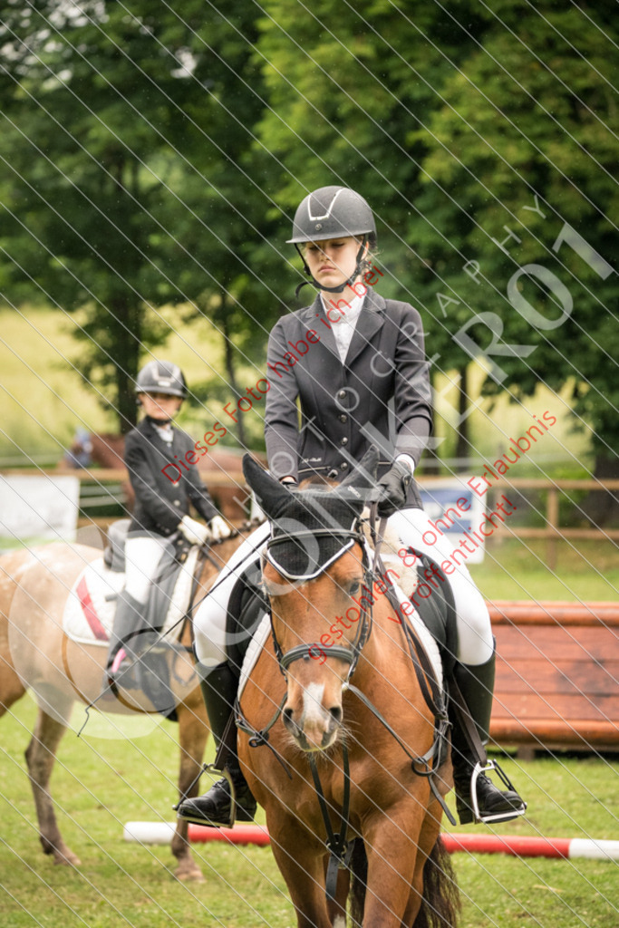 DSC_4743 | Sport-, Event- und Tierfotos in Profiqualität. Einfach auswählen, bestellen und herunterladen. Dein Moment – perfekt festgehalten.