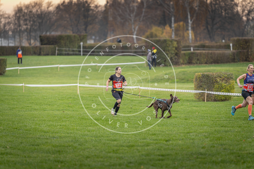 CaniXpix_DV3A6601 | Hundefotografie, Tierfotograf, Pfotenfotografie, Fotoshooting Hund, Hunde Portrait, Hundesport, Hundeportraits, Heideshooting, Hunde, Sportfotograf, Hundefotograf, Turnierhundsport, THS,  - Realisiert mit Pictrs.com