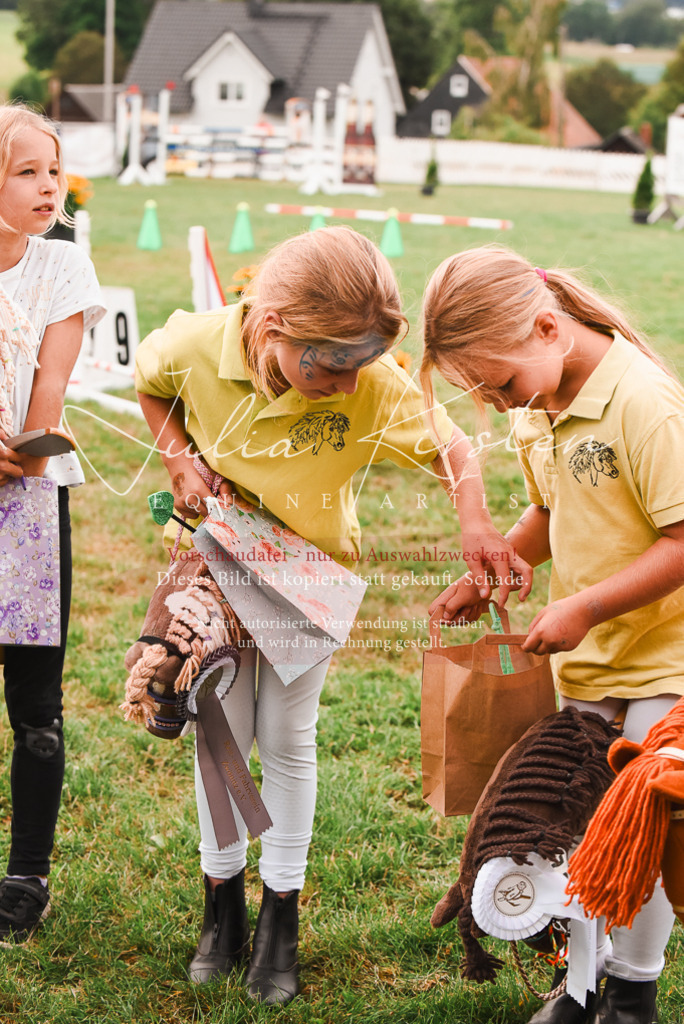 DSC_4594 | Pferde- und Turnierfotografie in Westsachsen. Pferdeportraits, Auftragszeichnungen und intuitive Kunst.