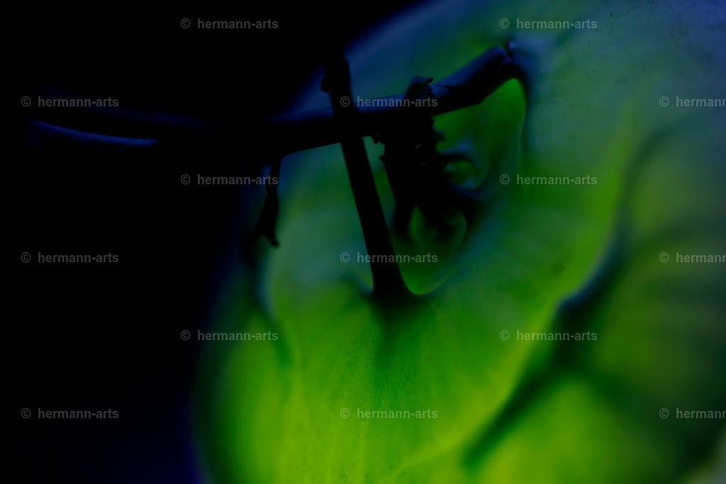 Fruits-Art-034 | Photo Foto Kunst Art schwarzweiss Bilder Rheine Münster Berlin Blumen 