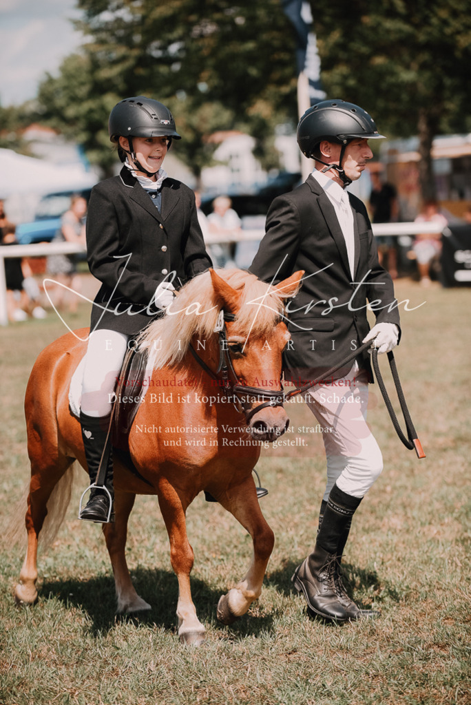 DSC_6011 | Pferde- und Turnierfotografie in Westsachsen. Pferdeportraits, Auftragszeichnungen und intuitive Kunst.