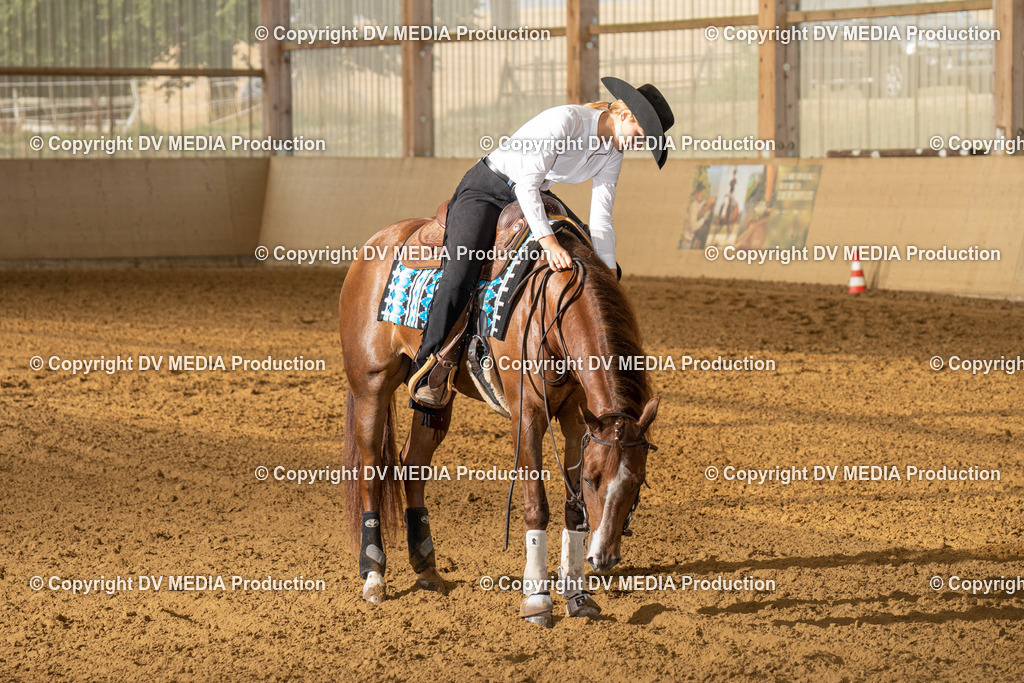 LAU01411 | dv-media-shop - Realisiert mit Pictrs.com