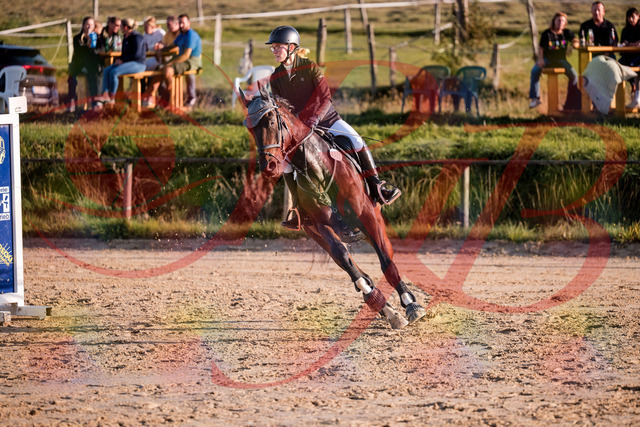 2026_10_03_Siefer-Hof_171901_Z81_16978637 | Professionelle Reitsport-, Turnier- und Eventfotografie von Robert Broda. Galerien mit ausgewählten und bearbeiteten Bildern direkt online ansehen und bestellen.