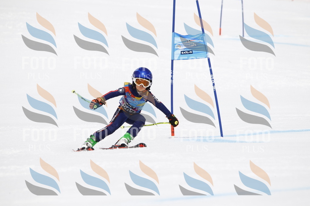 _U3G6695 | holidayphoto