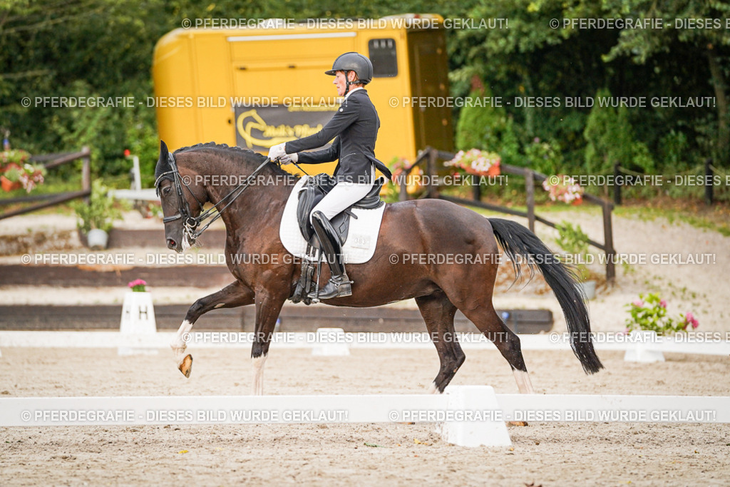 DSC08958 | Pferdegrafie