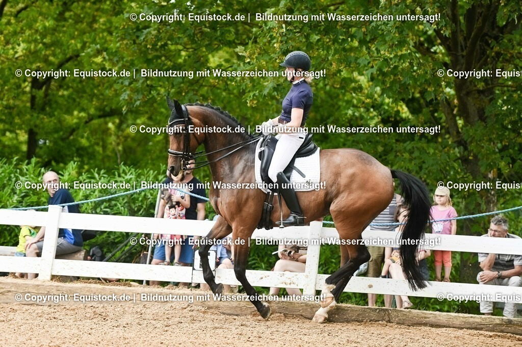 20230716_01_Dressurprüfung Kl.M_0436 | equistock