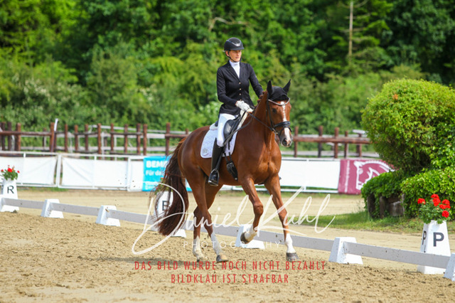 DKP45773 | Turniersportfotografie; Pferdefotografie; Dressurfotografie