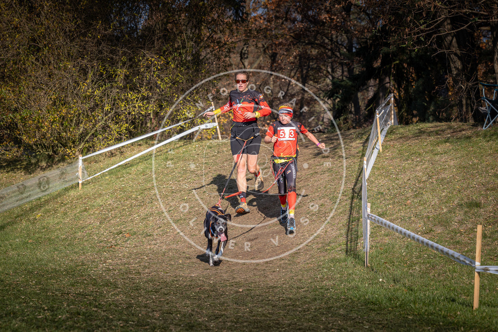 CaniXpix_0L8A8640 | Hundefotografie, Tierfotograf, Pfotenfotografie, Fotoshooting Hund, Hunde Portrait, Hundesport, Hundeportraits, Heideshooting, Hunde, Sportfotograf, Hundefotograf, Turnierhundsport, THS,  - Realisiert mit Pictrs.com