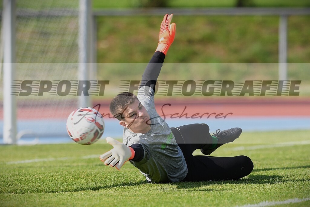 aDSC_5036 | Kaufen Sie Sportbilder im Onlineshop von Andy Scherrer Sportfotografie. Faszinierende Bilder von Sportevents aus der ganzen Schweiz. Fussball, Frauenfussball, Unihockey, Handball, Schwingen und weiteren Sportarten. - Realisiert mit Pictrs.com
