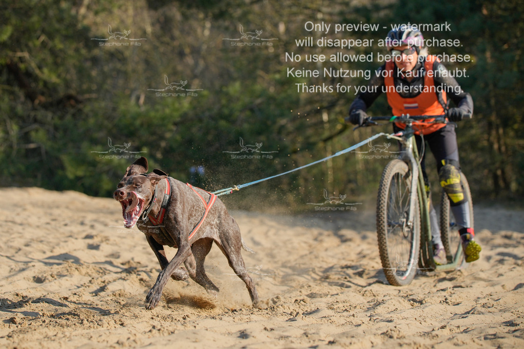 So_Scooter-174 | stephaniefillaphotographie - Realisiert mit Pictrs.com