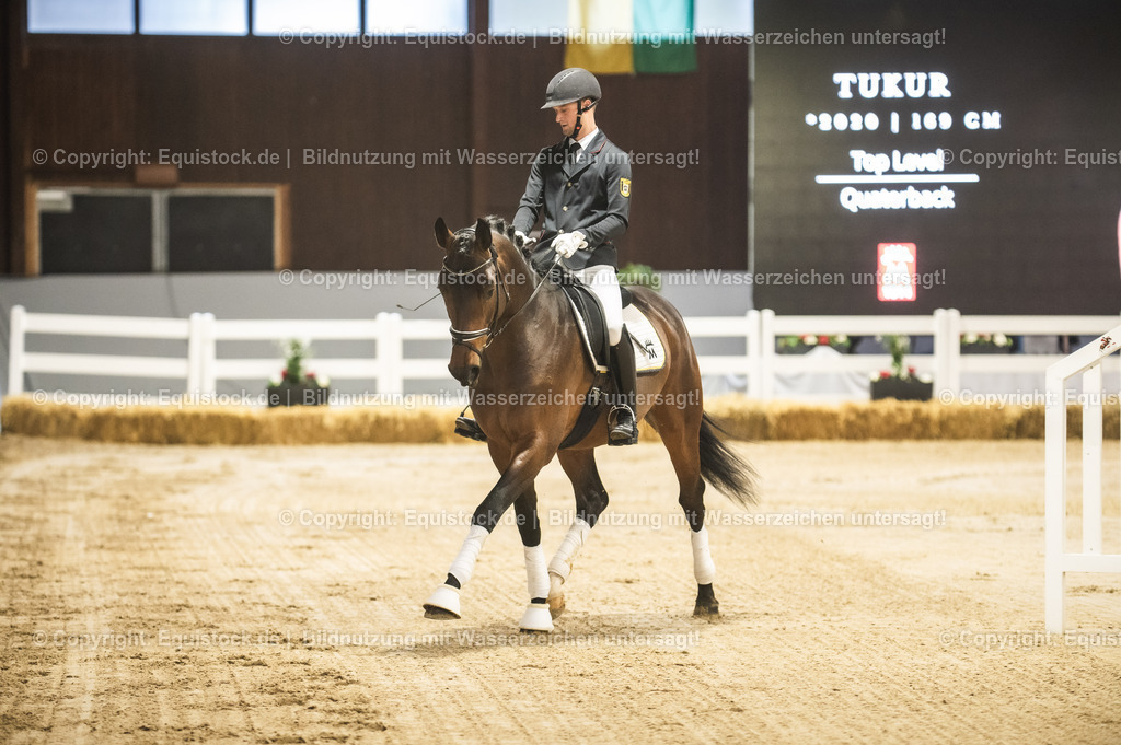 20240302_Hengstvorstellung_Marbach_TOMsPiC_0138 | equistock