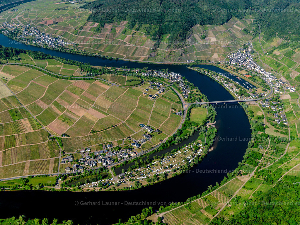 3114346 | Weinberge und Mosel bei Nehren