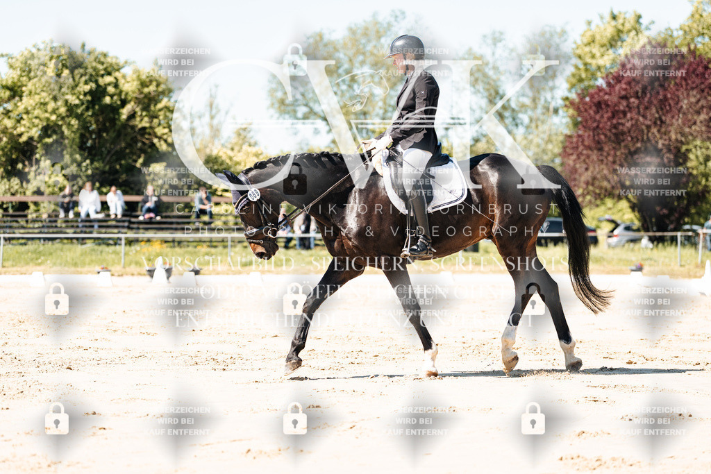 CK905096 | Turnierfotografie Pferdefotografie Trier Rheinland-Pfalz Pferdesport Reitsport Tierfotografie Sportfotografie Pferdevideo Pferdevideografie Equestrianvideography equestrianphotography  - Realisiert mit Pictrs.com