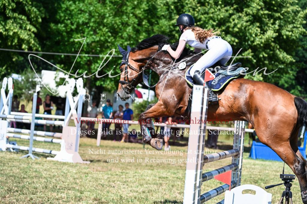DSC_1697 | Pferde- und Turnierfotografie in Westsachsen. Pferdeportraits, Auftragszeichnungen und intuitive Kunst.