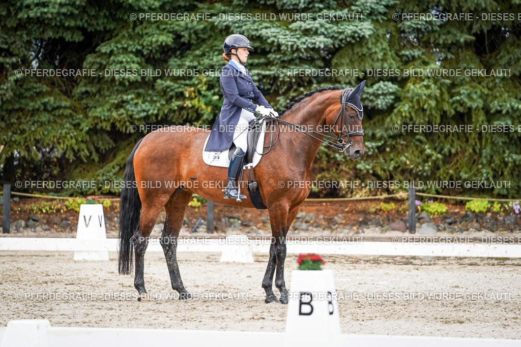 DSC00023 | Pferdegrafie