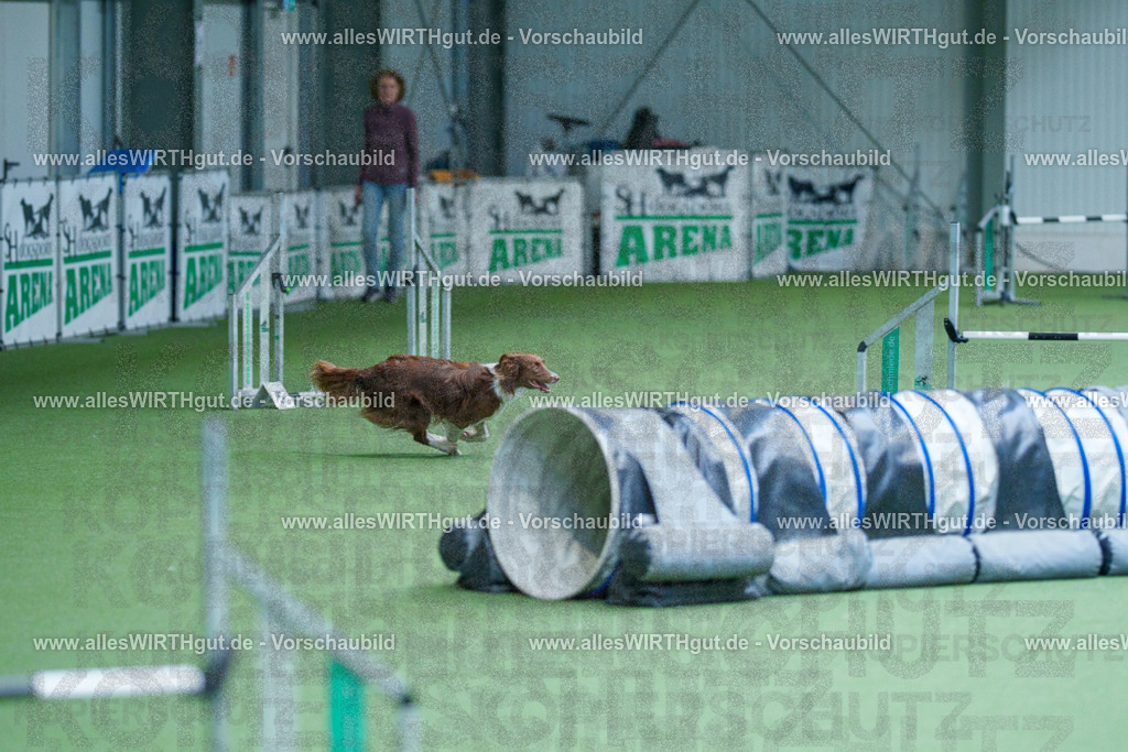 @allesWIRTHgut_Tierfotografie - www.allesWIRTHgut.de - 2604261403-7R503293 | Professionelle Tierfotografie in Mönchengladbach von Daniel Wirth (allesWIRTHgut). Liebevolle & natürliche Bilder von Hunden & Katzen für unvergessliche Erinnerungen.