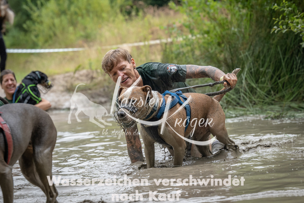 1346_ZZ92588 | kk-dogfotos
