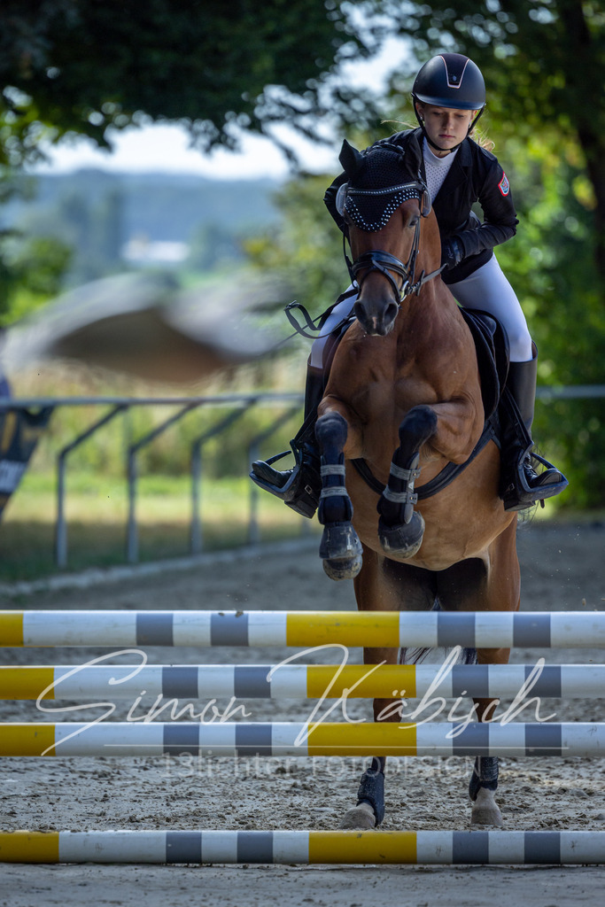 20260704-_3LI7163 | Tierfotografie Pferde, Hunde, Katzen, Haustiere.
Turnierfotografie Reitturniere, Reiten, Springreiten, Dressur in Hanau, dem Main-Kinzig-Kreis und dem Rhein-Main- Gebiet um Frankfurt