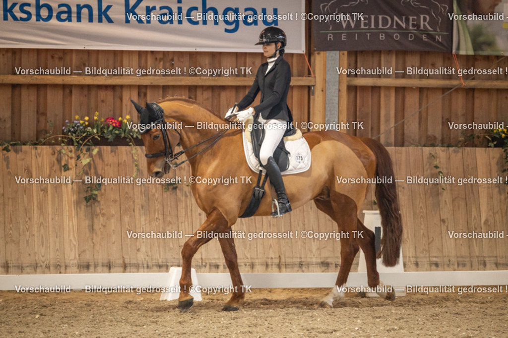 _D5A9567 | Emotionale Pferde- & People-Fotografie rund um Heidelberg, Leimen & Umgebung. Natürliche Fotos von Pferd, Mensch & Familie. Jetzt Termin sichern!