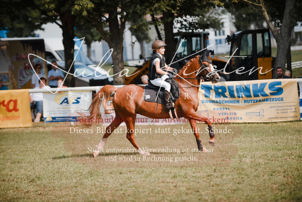 DSC_5229 | Pferde- und Turnierfotografie in Westsachsen. Pferdeportraits, Auftragszeichnungen und intuitive Kunst.