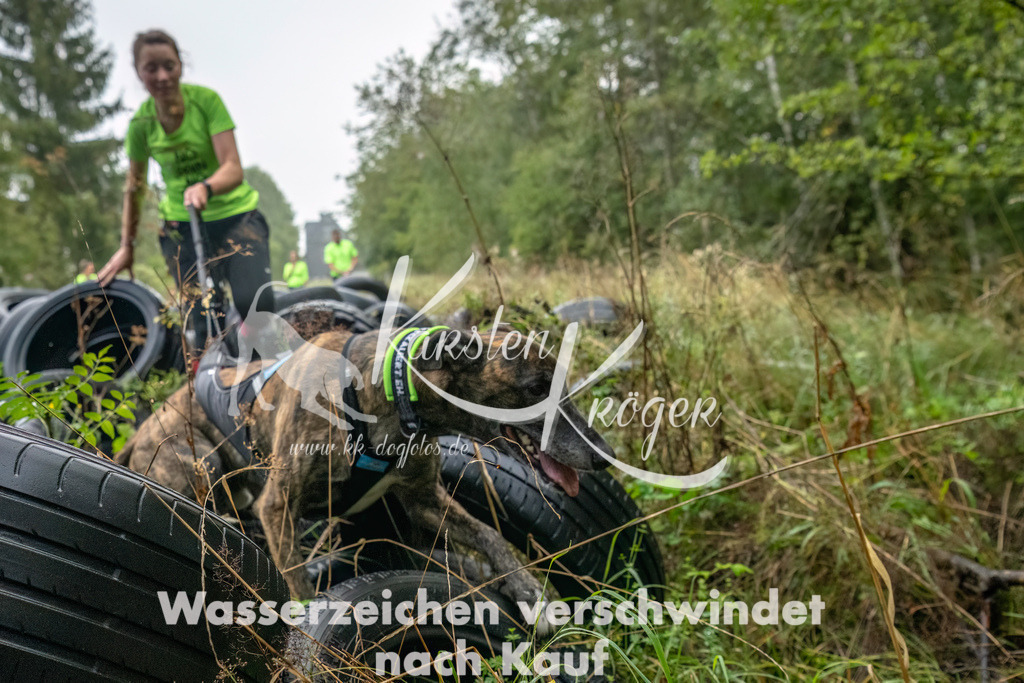 0842_ZZ90139-Bearbeitet | kk-dogfotos