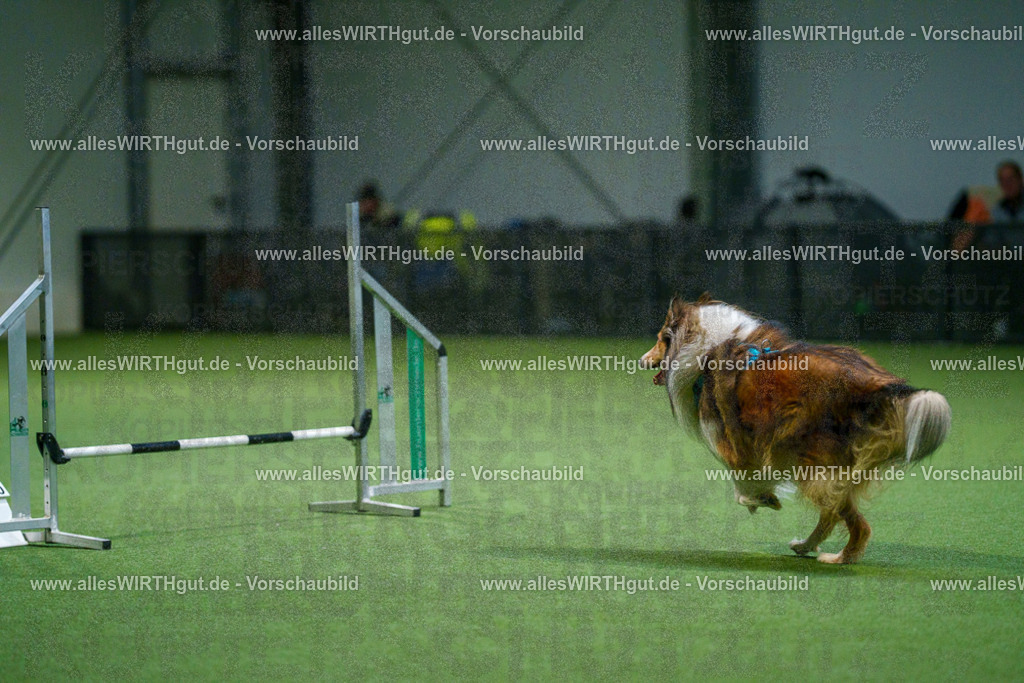 7R500459 | Professionelle Tierfotografie in Mönchengladbach von Daniel Wirth (allesWIRTHgut). Liebevolle & natürliche Bilder von Hunden & Katzen für unvergessliche Erinnerungen.