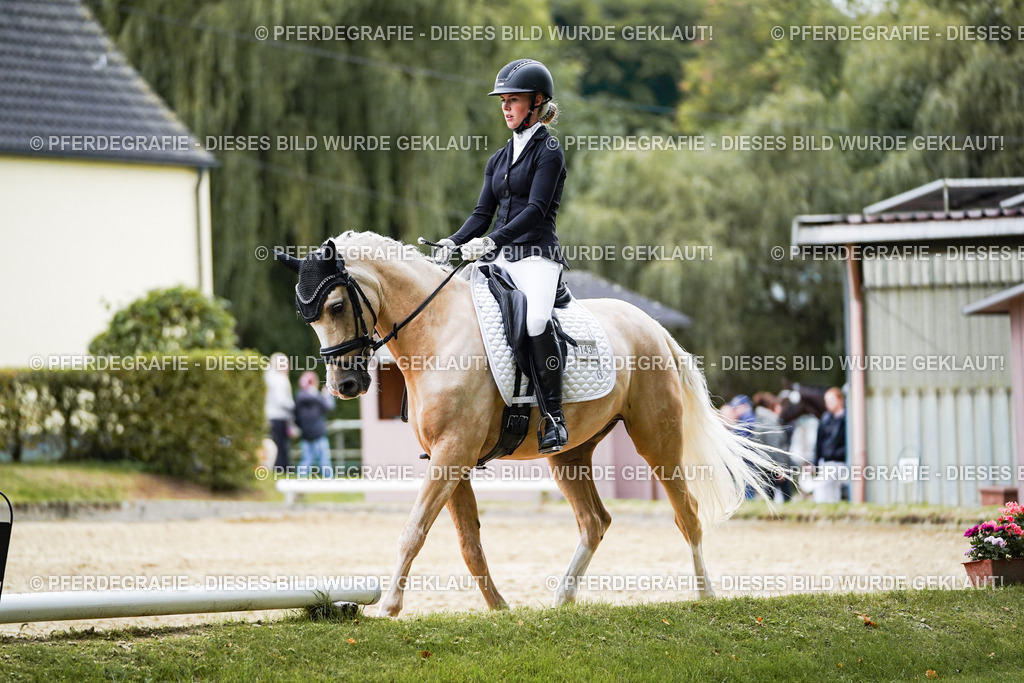 DSC02039 | Pferdegrafie