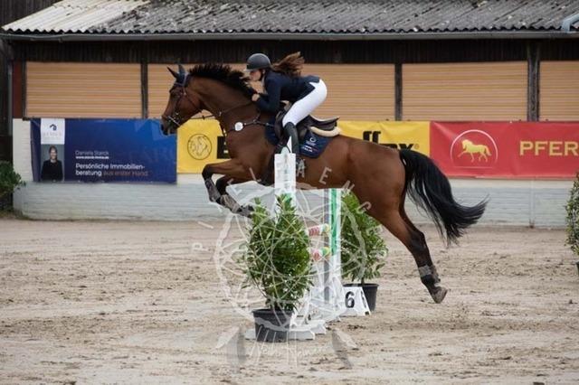 2B4A1540 | pixelfaenger - Realisiert mit Pictrs.com