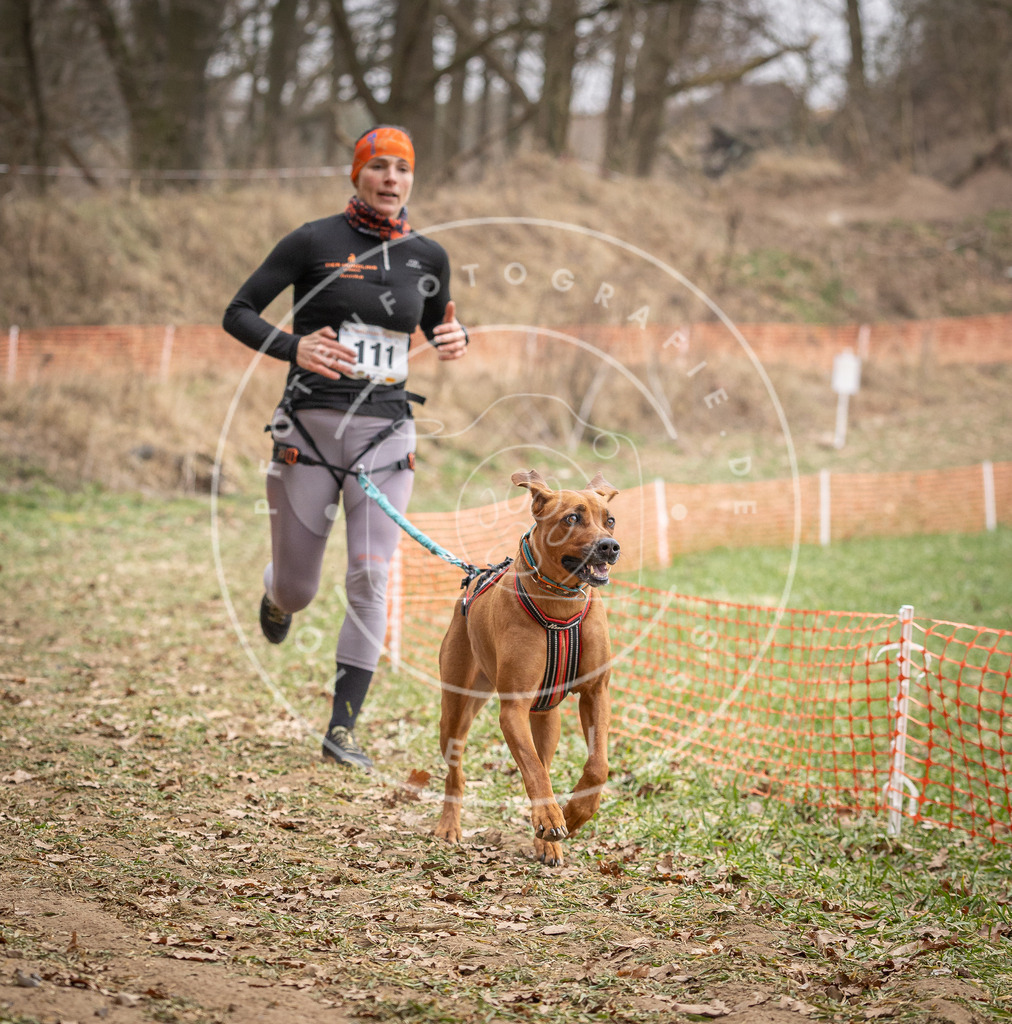 Pfotenfotografie_DV3A7536 | Hundefotografie, Tierfotograf, Pfotenfotografie, Fotoshooting Hund, Hunde Portrait, Hundesport, Hundeportraits, Heideshooting, Hunde, Sportfotograf, Hundefotograf, Turnierhundsport, THS,  - Realisiert mit Pictrs.com