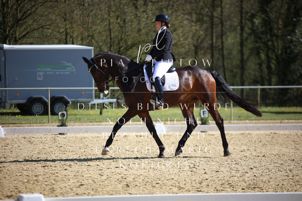 IMGT8500 | pl-fotografie