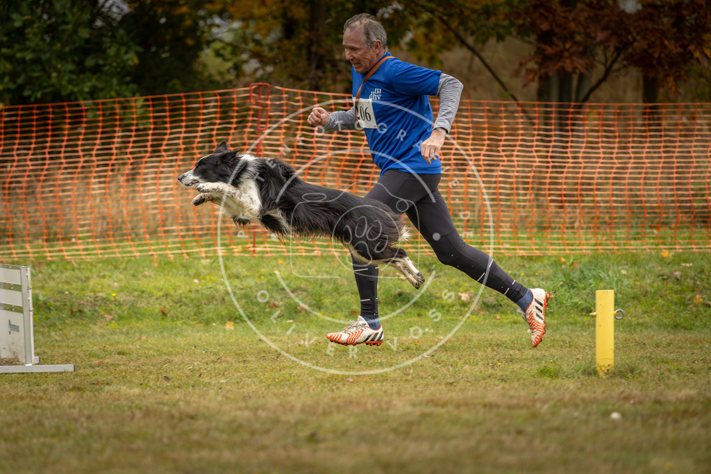 Pfotenfotografie_DV3A2649 | Hundefotografie, Tierfotograf, Pfotenfotografie, Fotoshooting Hund, Hunde Portrait, Hundesport, Hundeportraits, Heideshooting, Hunde, Sportfotograf, Hundefotograf, Turnierhundsport, THS,  - Realisiert mit Pictrs.com