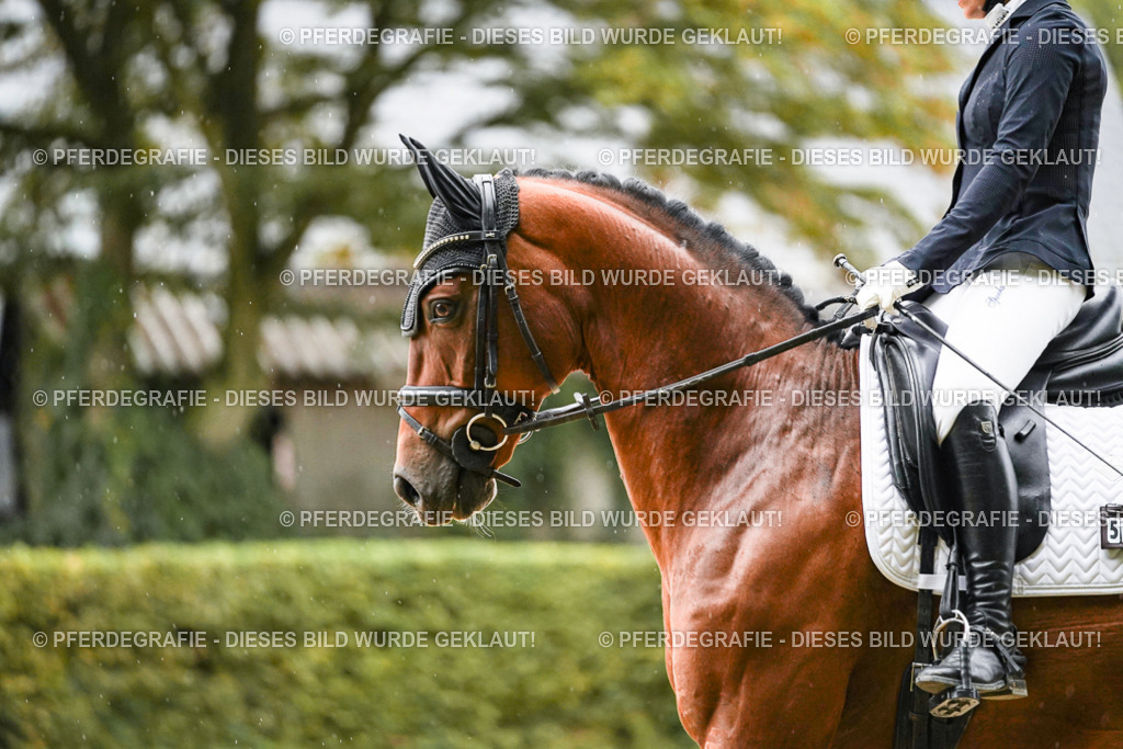 DSC07263 | Pferdegrafie