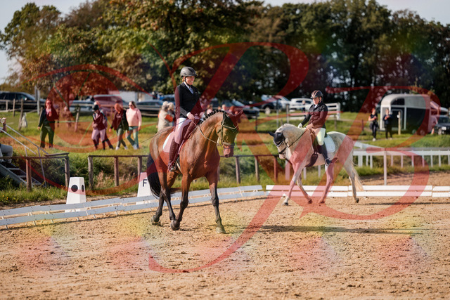 2026_10_03_Siefer-Hof_122832_Z63_48707126 | Professionelle Reitsport-, Turnier- und Eventfotografie von Robert Broda. Galerien mit ausgewählten und bearbeiteten Bildern direkt online ansehen und bestellen.